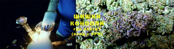 стаф Балахна