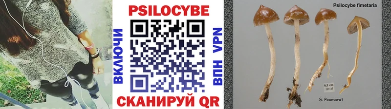 Галлюциногенные грибы MAGIC MUSHROOMS  Ивантеевка 